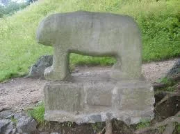 Zdjęcie z galerii