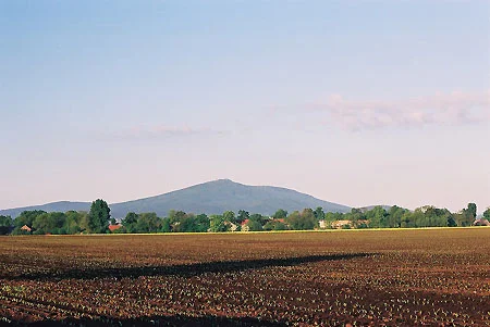 Zdjęcie z galerii