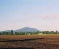 Zdjęcie z galerii